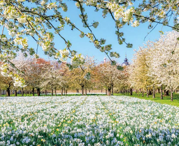 Funeral directors and funeral services in Newcastle, Kenton, Gosforth, Kingston Park, Great Park, Benton, Jesmond, Blakelaw, North Tyneside, Northumberland and Gateshead. Funeral advice on cremations, burials, home or venue services, coffins and flower arrangements.