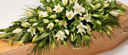 Funeral Services Newcastle, Funeral Directors Kenton, Funeral Services Gosforth, Funeral Directors Kingston Park, Funeral Services Great Park, Funeral Directors Benton, Funeral Services Jesmond, Funeral Directors Blakelaw, Funeral Services North Tyneside, Funeral Directors Northumberland, Funeral Services Gateshead Funeral directors and funeral services in Newcastle, Kenton, Gosforth, Kingston Park, Great Park, Benton, Jesmond, Blakelaw, North Tyneside, Northumberland and Gateshead. Funeral advice on cremations, burials, home or venue services, coffins and flower arrangements.