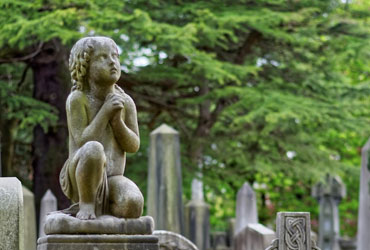 Funeral Services Newcastle, Funeral Directors Kenton, Funeral Services Gosforth, Funeral Directors Kingston Park, Funeral Services Great Park, Funeral Directors Benton, Funeral Services Jesmond, Funeral Directors Blakelaw, Funeral Services North Tyneside, Funeral Directors Northumberland, Funeral Services Gateshead Funeral directors and funeral services in Newcastle, Kenton, Gosforth, Kingston Park, Great Park, Benton, Jesmond, Blakelaw, North Tyneside, Northumberland and Gateshead. Funeral advice on cremations, burials, home or venue services, coffins and flower arrangements.
