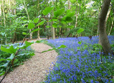 Funeral directors and funeral services in Newcastle, Kenton, Gosforth, Kingston Park, Great Park, Benton, Jesmond, Blakelaw, North Tyneside, Northumberland and Gateshead. Funeral advice on cremations, burials, home or venue services, coffins and flower arrangements.